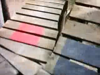 Bike Park de Crans-Montana