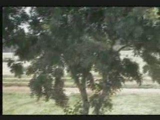 2EME MANCHE STOCK CAR