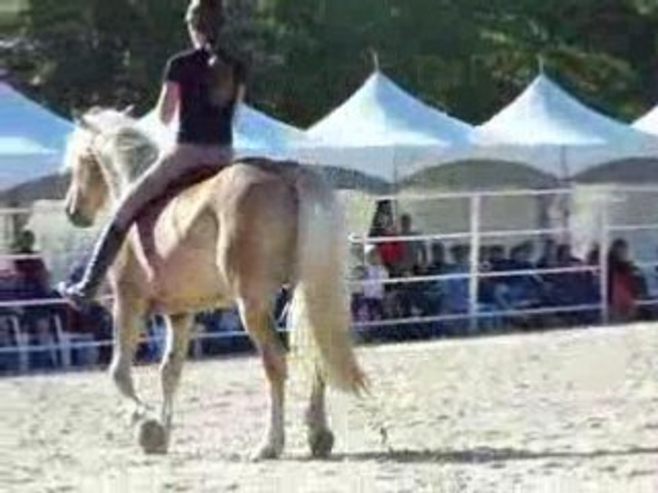 Pauline et Naïade aux RDV étho (8ème partie)