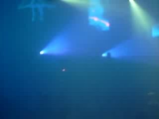 Ososphere 2008 - Goose