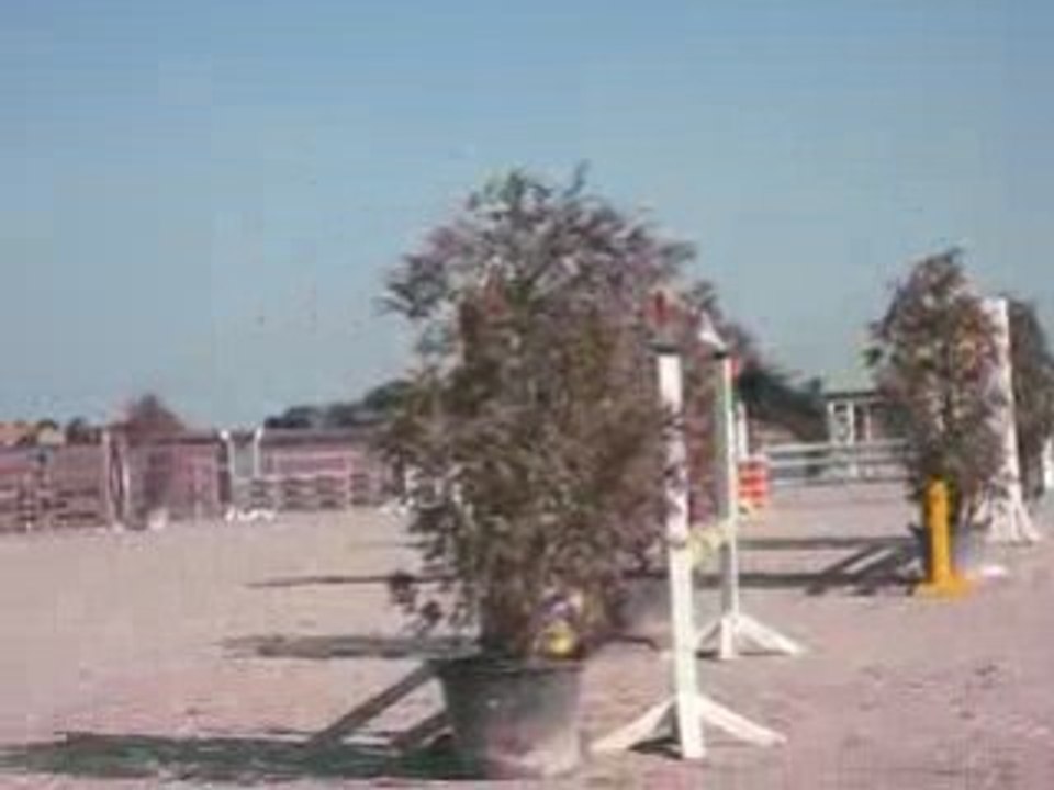 Concours potte Ivoire et moi