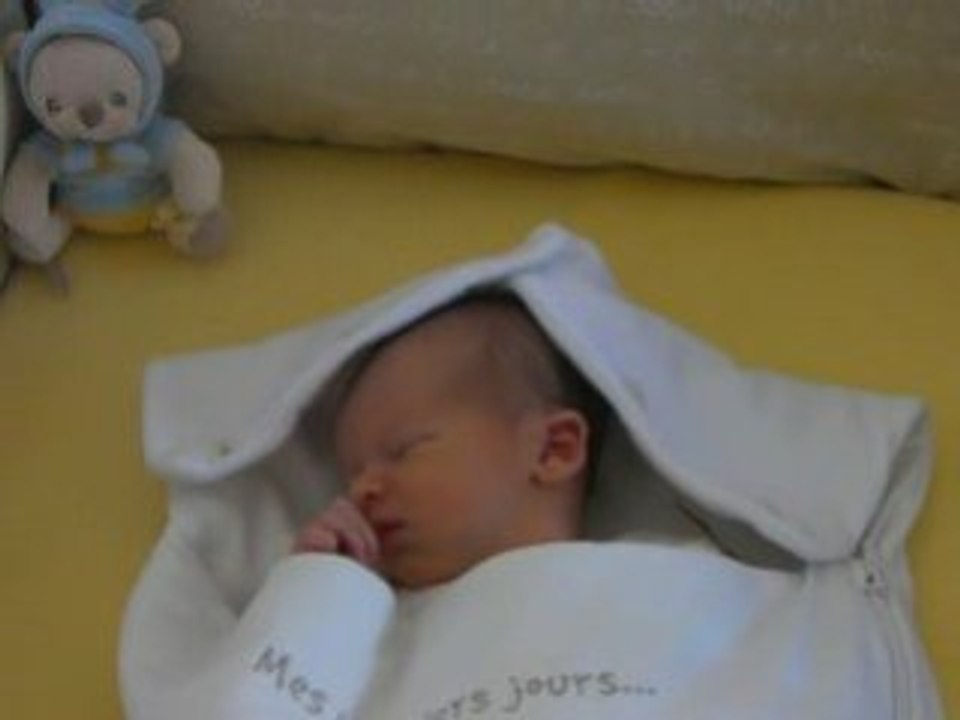 Maxime   -   J+11