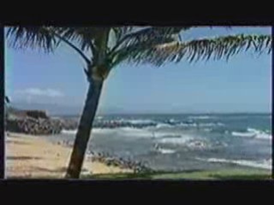 Aloha Classic 1993