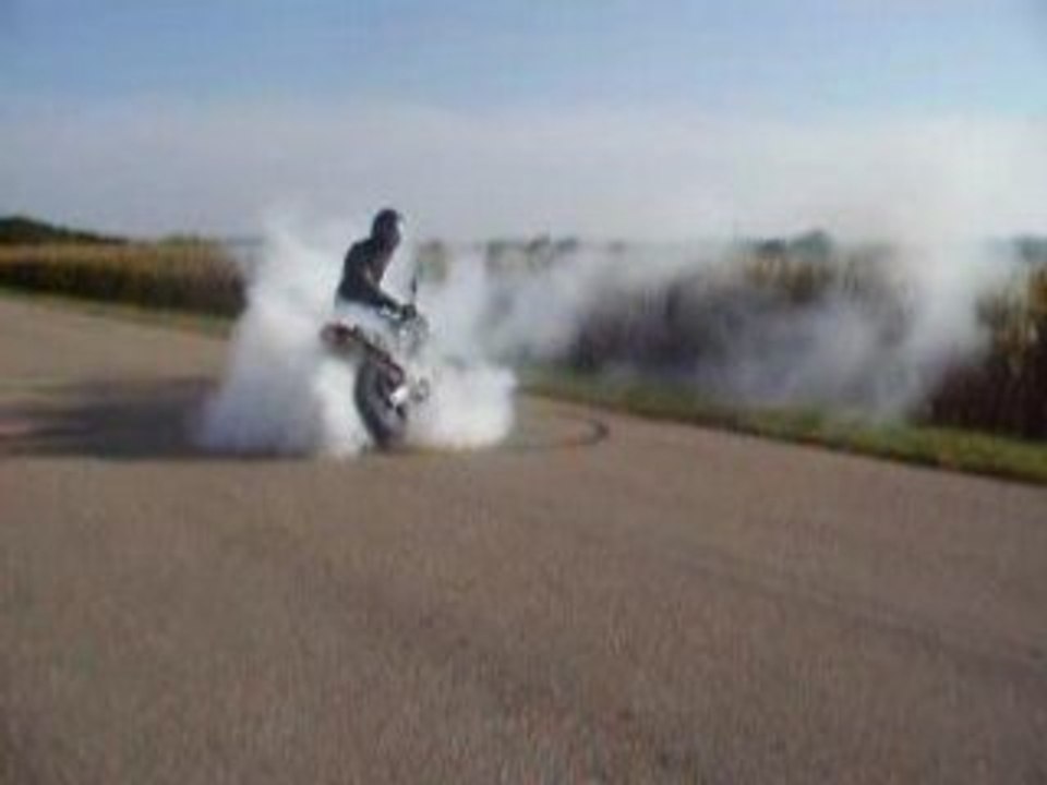 hornet 600 burn
