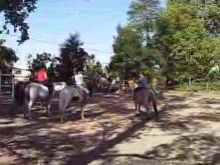 Reprise du 20 septembre 2008