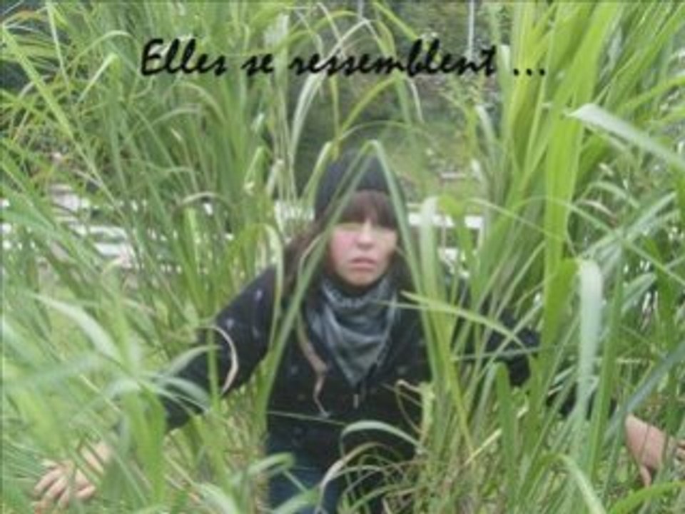 Wei - chan's and Kameyo - sama's story