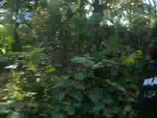 Virades de l'espoir 28.09.08