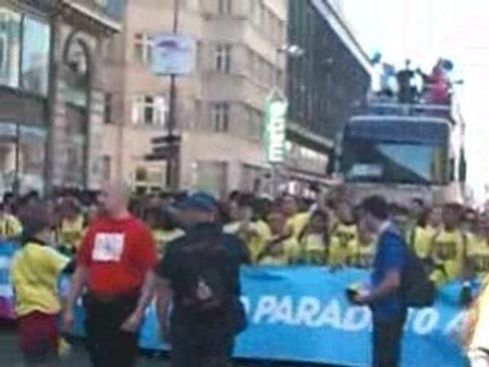 Techno Parade 2008 (4)