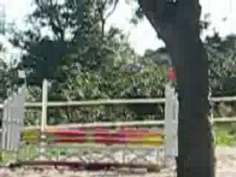 Kavall & Pooki cso club 2 28/09/08