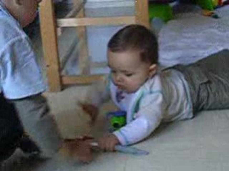Photo 775381