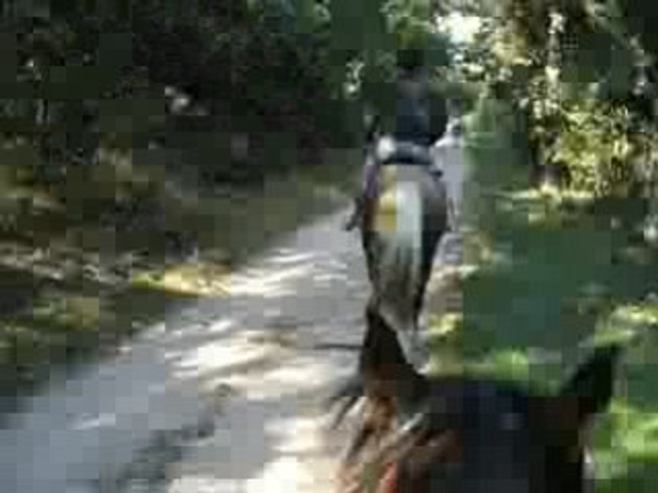 vidéo1 28-09-2008