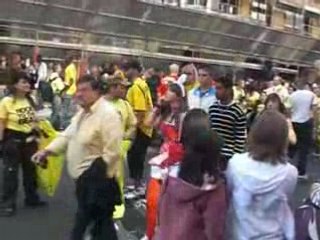 Techno Parade 2008 (5)