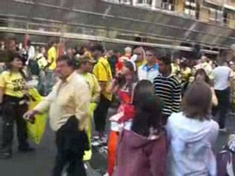 Techno Parade 2008 (5)