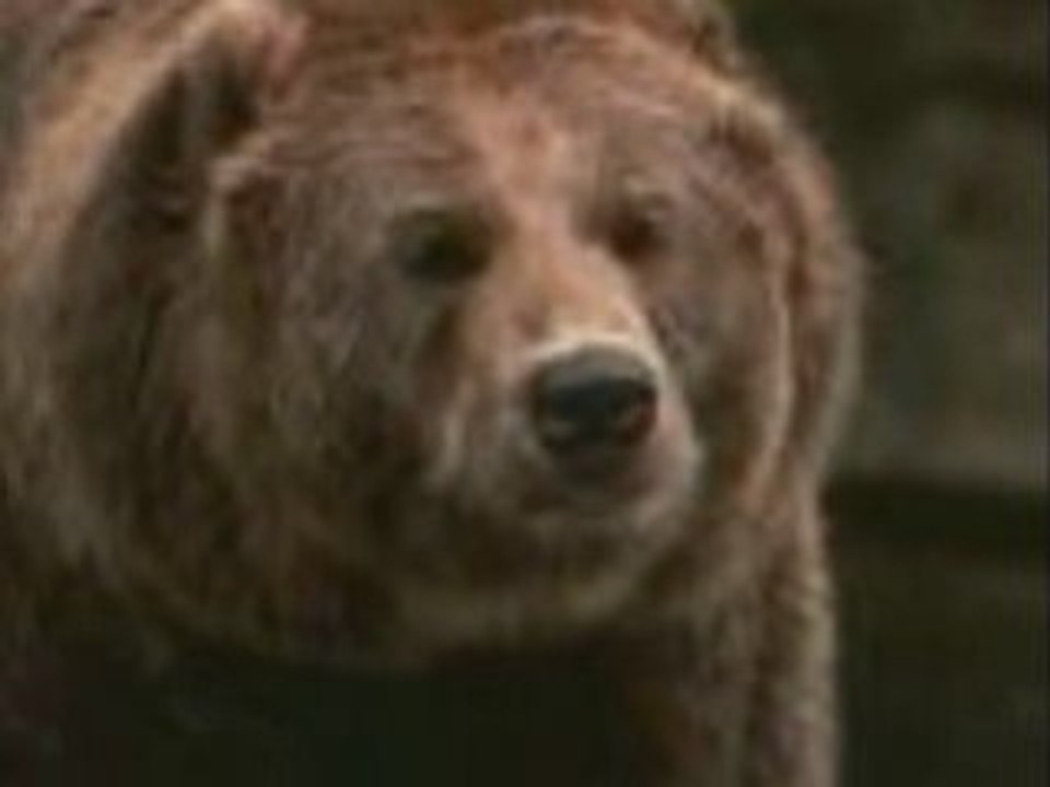 Ours