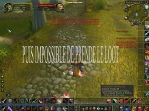 WOW bug 2 lieutenant vaillehuche