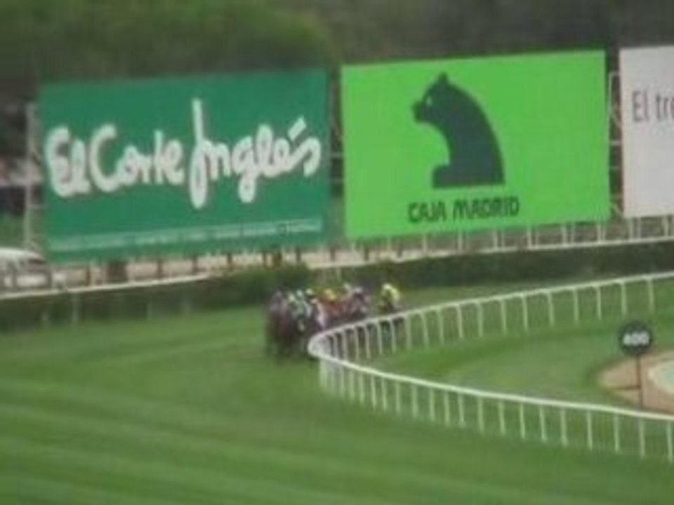 2008 (380) Premio Bang & Olufsen (H) (GREAT ORATOR -USA-)