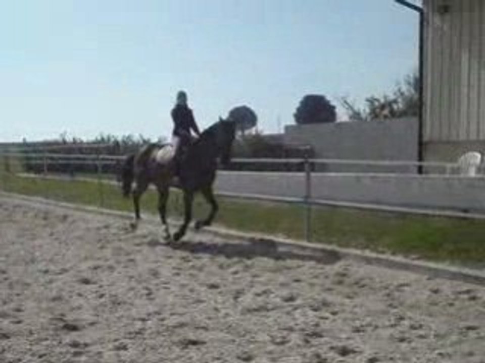 mOii et Derby