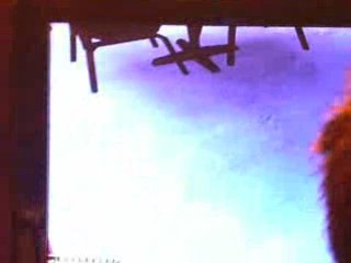 [FJV] Sonic Unleashed - Bug, encore !