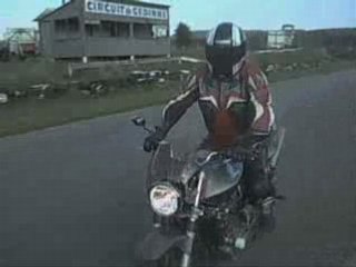 Mon Frelon et ses devil Magnum Titane