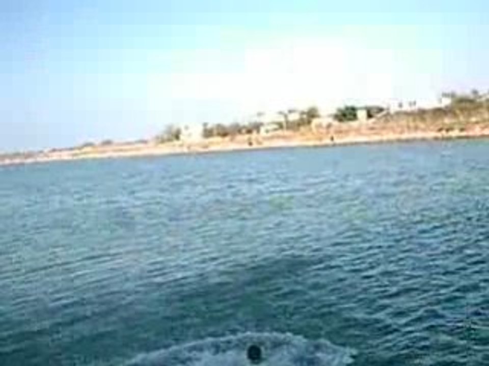 salto avant