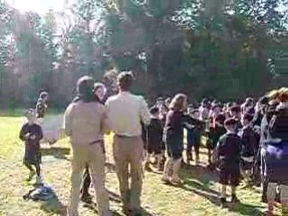 WErentree2008::Mon beau ptit pingouin