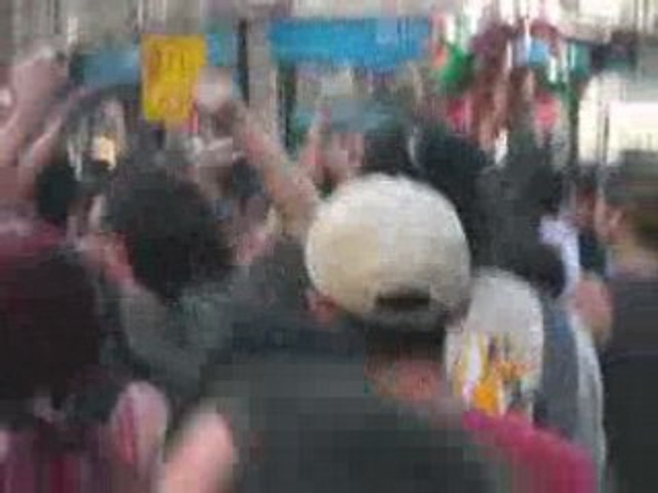 Techno Parade 2008 (7)