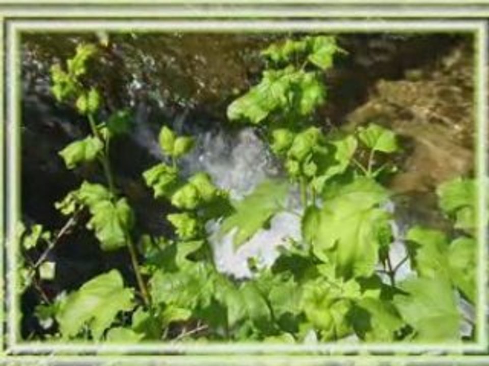 Paris-Londres - A Sarlat