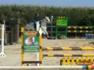 D4p Je suis un pondi