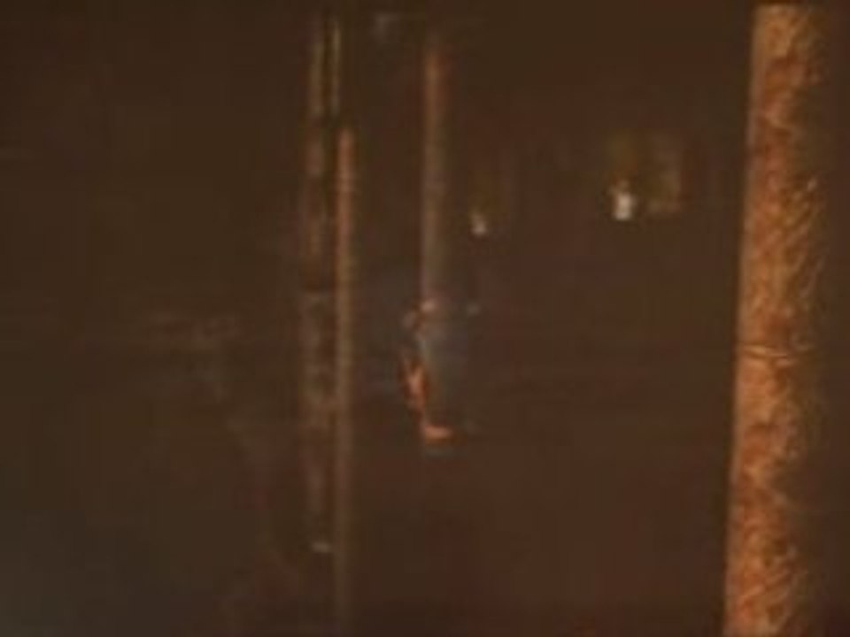 Tomb Raider: Underworld FDJV: Presentation