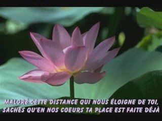 Zo anniversaire 21 ans ter