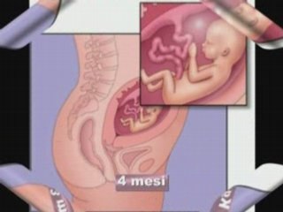 Come nasce la vita  ( Chiara & Giuseppe )