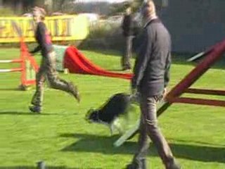 Agility belgique vidéooo (2)