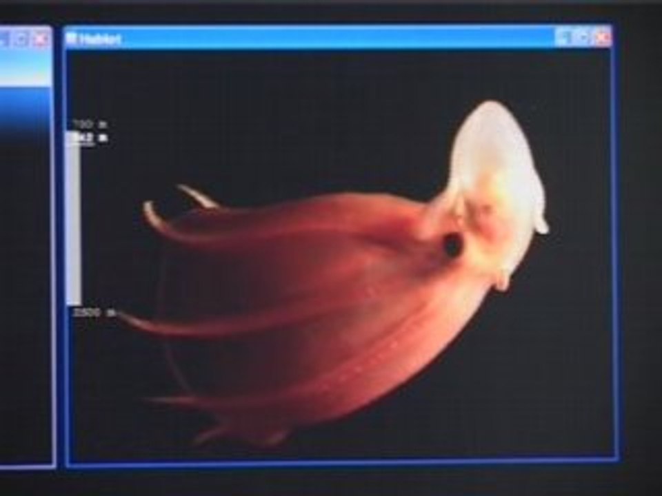 Atelier sur les abysses - complément technique