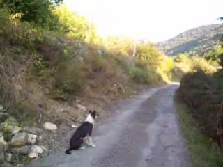 Camaïl prépare le CSAU-part 1