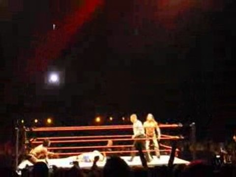 Shawn Michaels/CM Punk vs Jericho/Cade
