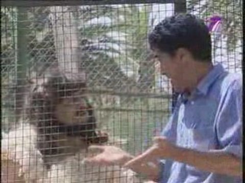 TV7 -2809 9hiwa 3arbi Ep26