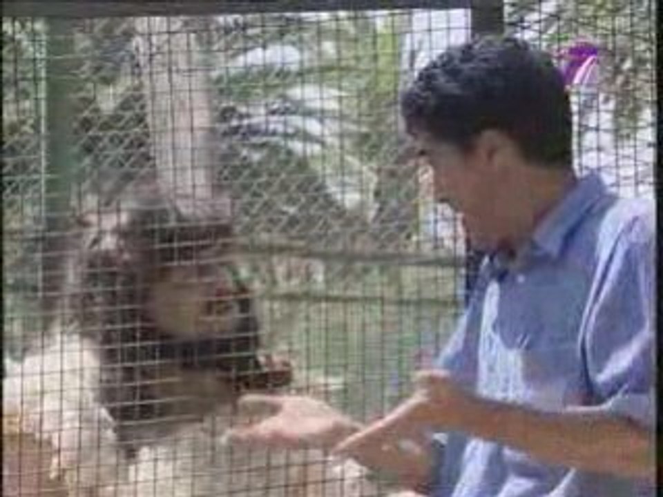 TV7 -2809 9hiwa 3arbi Ep26