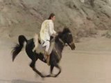 La Legende De L'etalon Noir Scène poursuite de chevaux