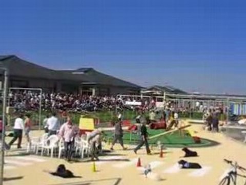 Bouchemaine : Chiens Guides d'Aveugles de l'Ouest