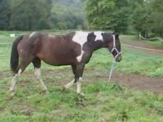 Septembre25 2008 4eme cours longé