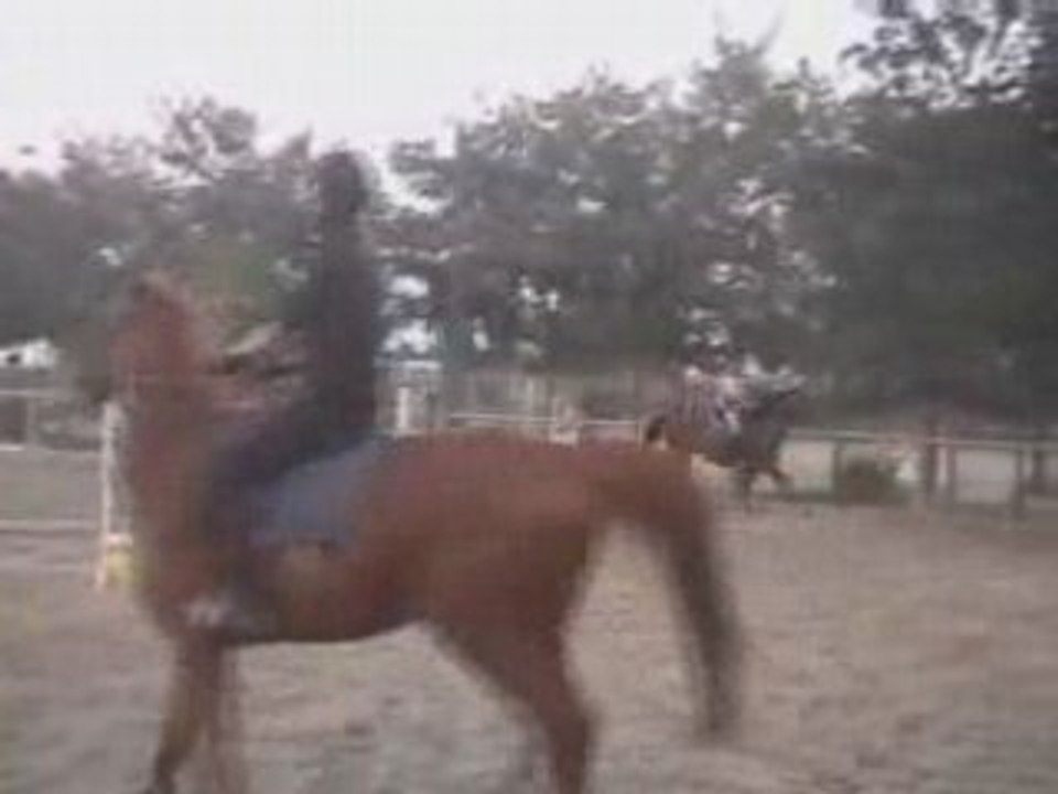 Saut avec noak