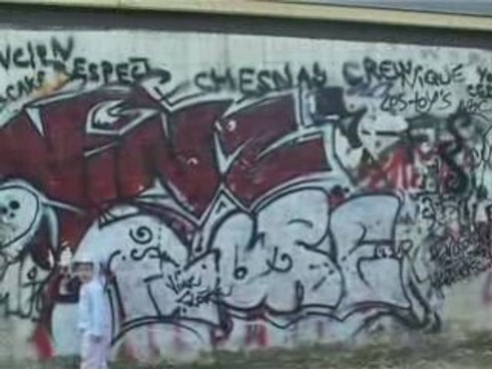 NTM - Le Chesnay sous les bombes, feat. Kssandra