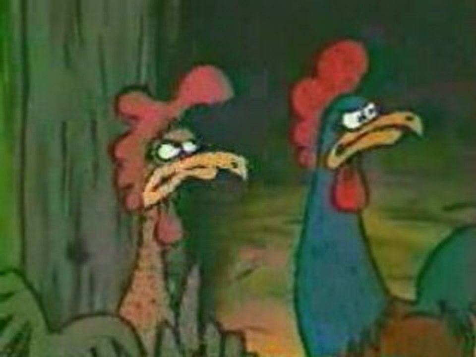 Jeune coq et vieux coq