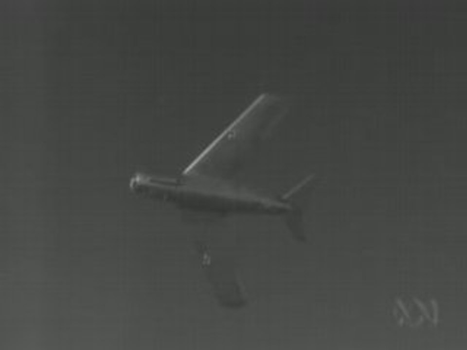 Weapons Races: Jet Fighter (2/3)