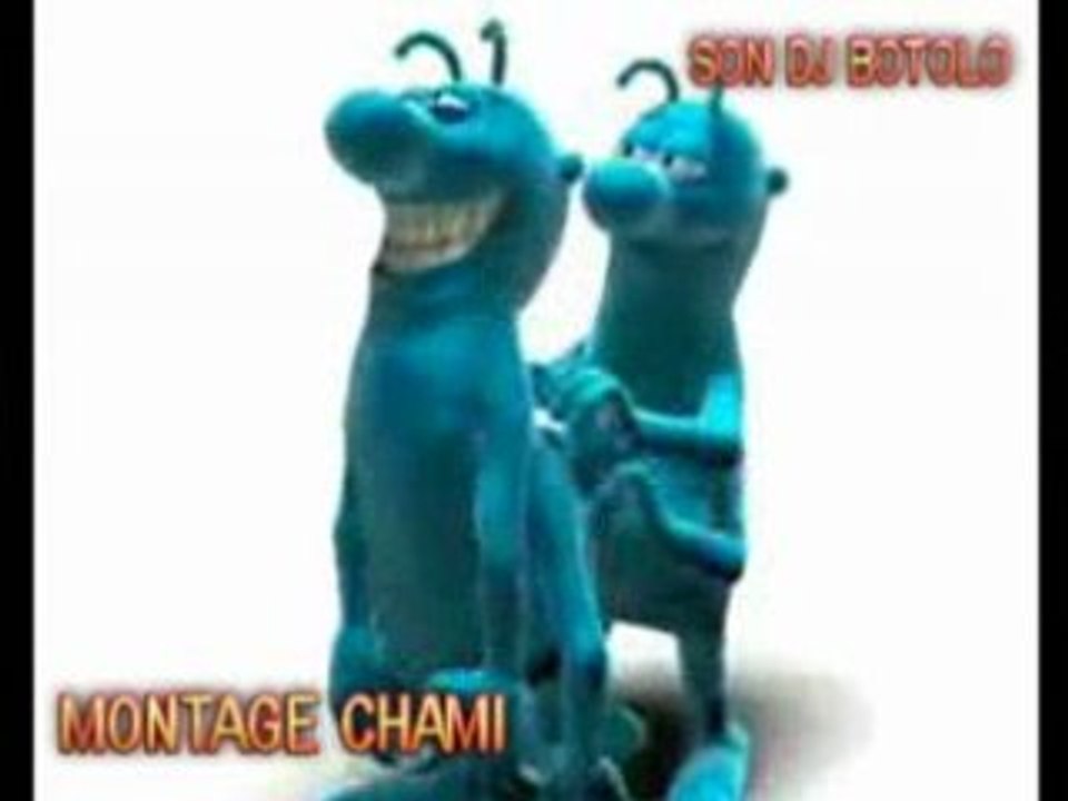 c'est des fous