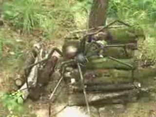 Tourisme responsable - Odyssée verte