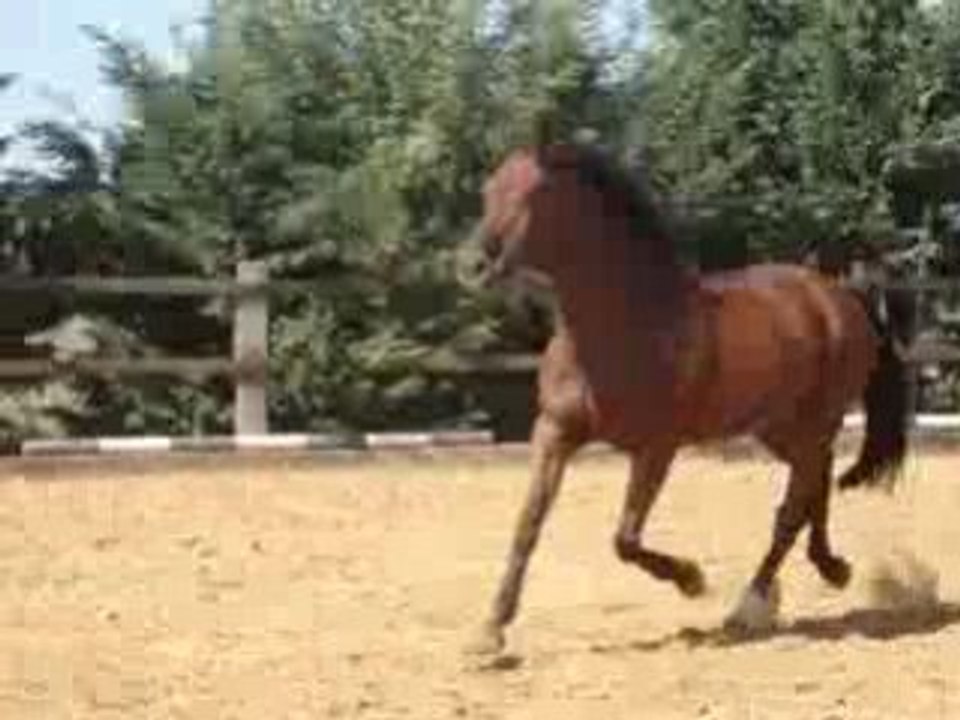 MOV01172