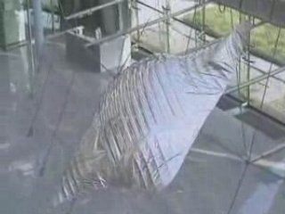 Une raie manta bionique