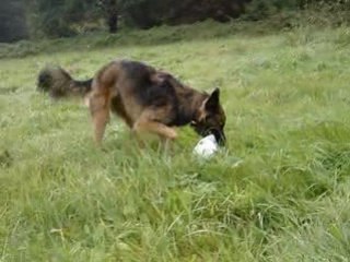 29 septembre 2008 019