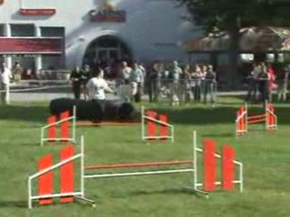 CKaidAgility